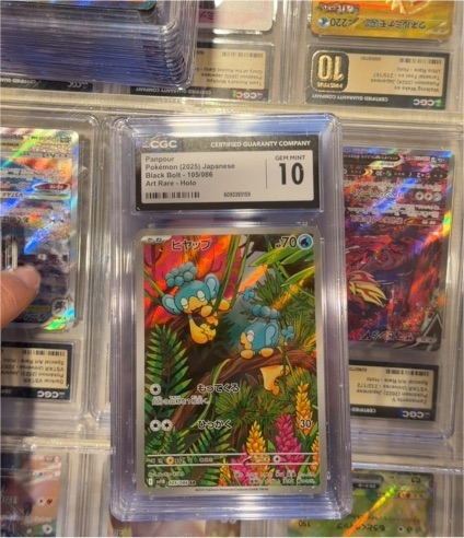 2025 Pokémon #105 Panpour — front