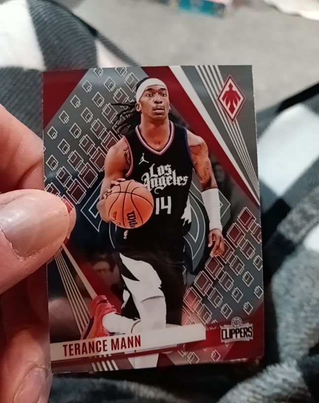 2023-24 Panini Phoenix #247 Terance Mann — front