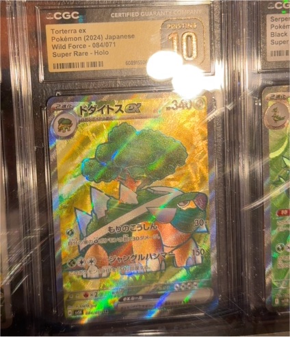 2024 Pokemon Torterra ex #084 Japanese Wild Force — front