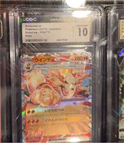 Arcanine ex 016/078 Violet ex sv1V Pokémon Card — front