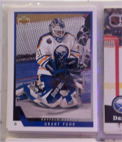 1993-94 Upper Deck #163 Grant Fuhr — front