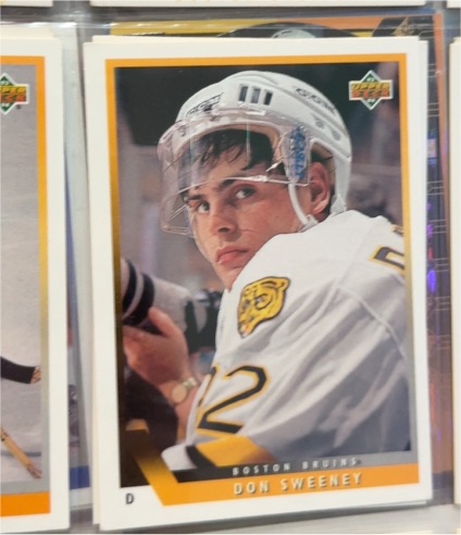 1993-94 Upper Deck #101 Don Sweeney — front