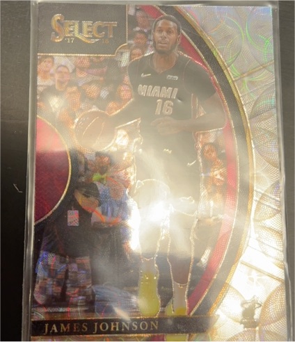 2017-18 Panini Select #16 James Johnson — front