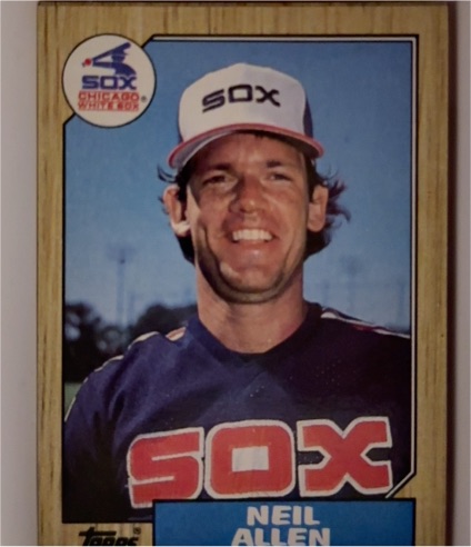 1987 Topps #113 Neil Allen Chicago White Sox — front