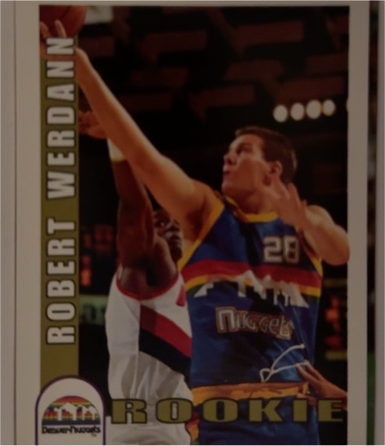 1992-93 Hoops #379 Robert Werdann — front