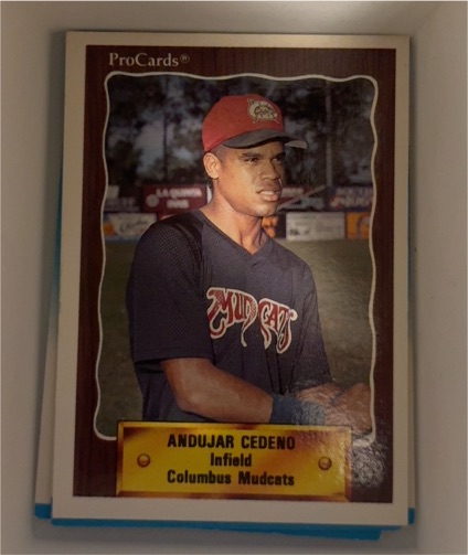 1990 ProCards #1351 Andujar Cedeno — front