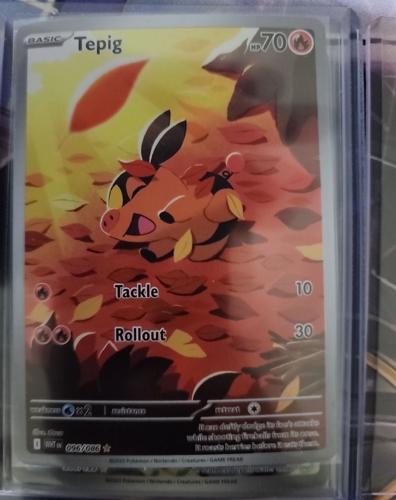 2025 Pokémon SV: White Flare #096 Tepig — front