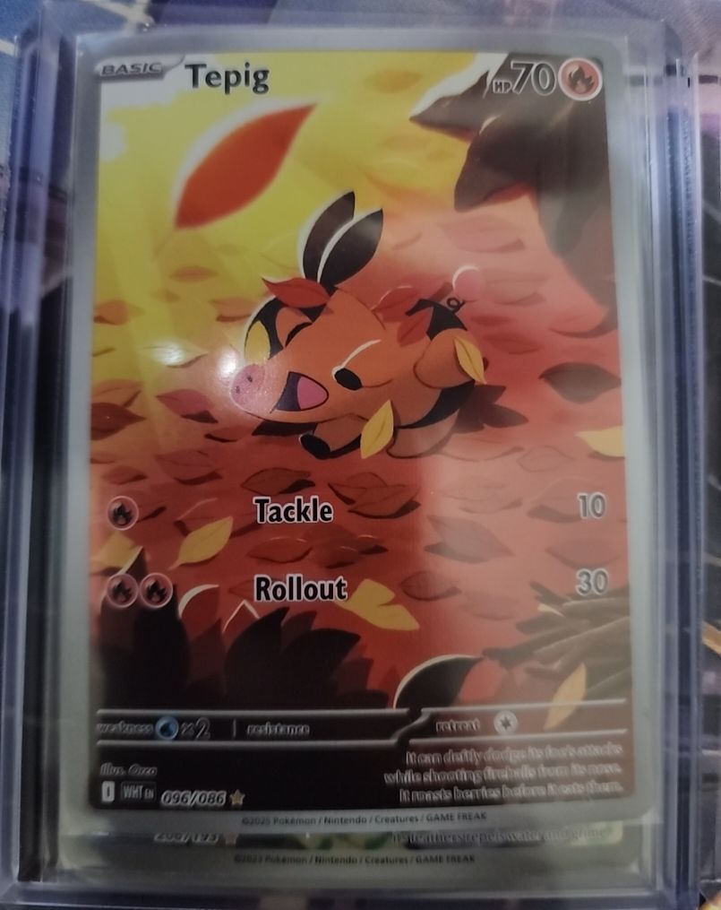 2025 Pokémon #096 Tepig — front