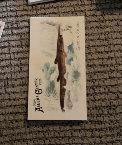 2025 Topps Allen & Ginter Mini 50 Fish From Global Waters #FGW-41 Goblin Shark — front