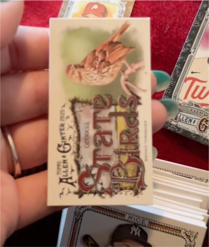 2025 Topps Allen & Ginter Mini State Birds #SB-37 Western Meadowlark — front