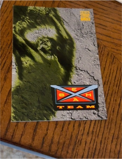 1993-94 Topps Stadium Club Beam Team — front