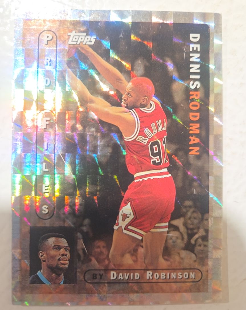 1996-97 Topps Pro Files #PF-14 Dennis Rodman — front