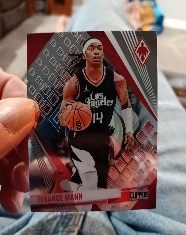 2023-24 Panini Phoenix #247 Terance Mann — front