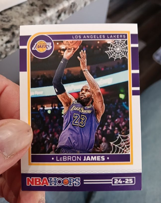 2024-25 Panini NBA Haunted Hoops #193 LeBron James — front