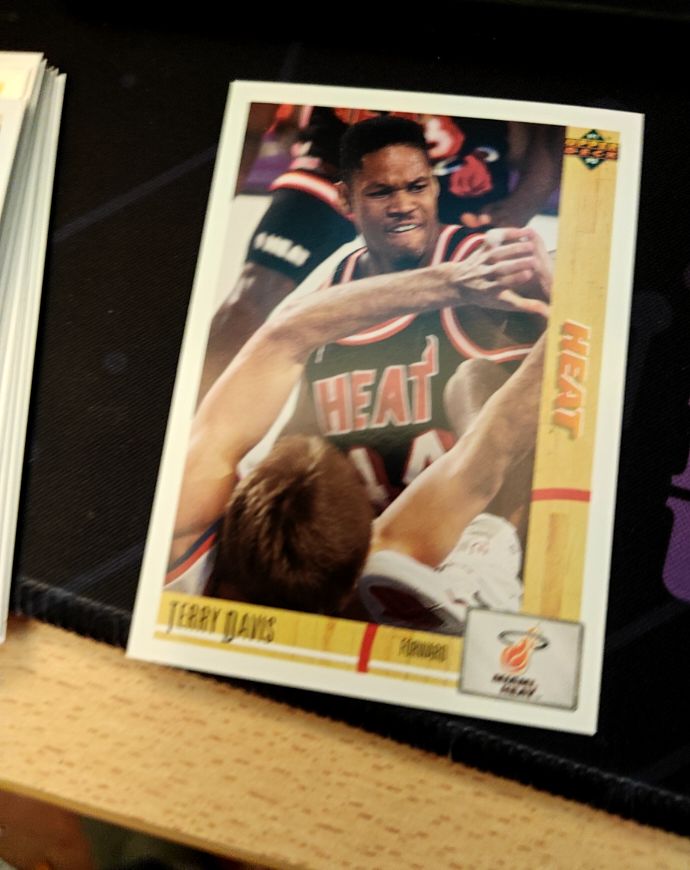 1991-92 Upper Deck #179 Terry Davis — front