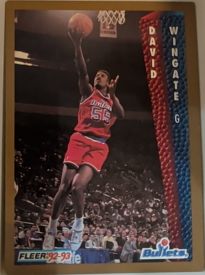 1992-93 Fleer #237 David Wingate — front