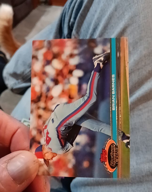 1991 Topps Stadium Club #114 Brian Barnes — front