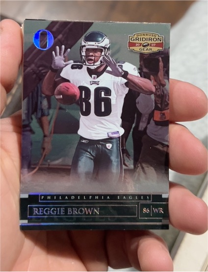 2007 Donruss Gridiron Gear #10 Reggie Brown — front