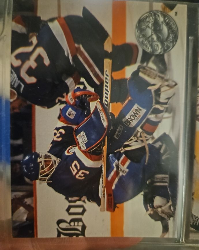 1991-92 Pro Set Platinum #73 Glenn Healy — front