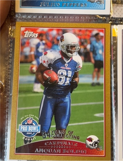 2009 Topps #293 Anquan Boldin — front