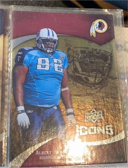 2009 Upper Deck Icons #14 Albert Haynesworth — front