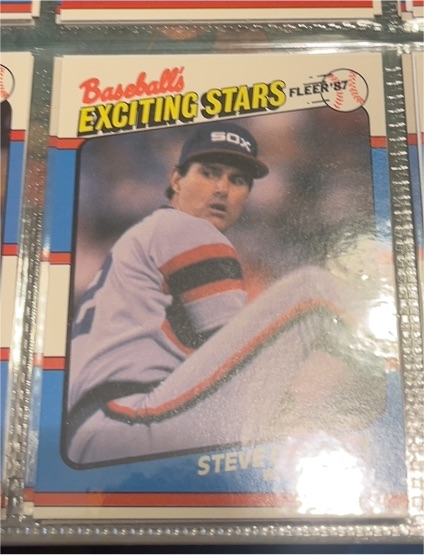 1987 Fleer Baseball's Exciting Stars #8 Steve Carlton — front