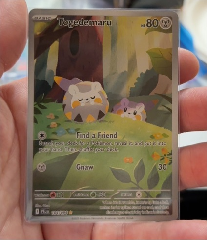 2025 Pokémon #104 Togedemaru Phantasmal Flames — front