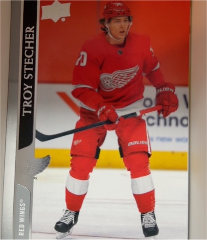 2020-21 Upper Deck #550 Troy Stecher — front