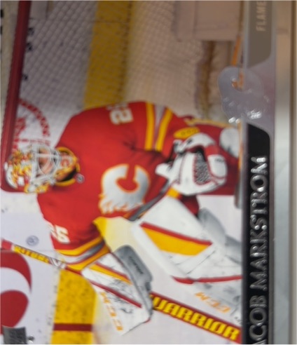 2020-21 Upper Deck #518 Jacob Markstrom — front