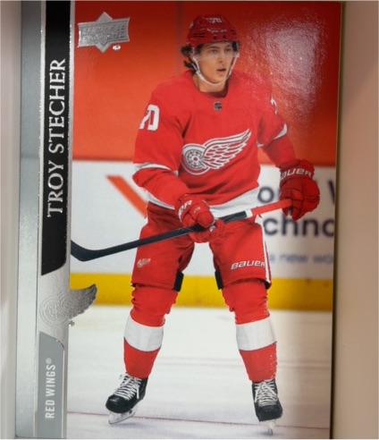 2020-21 Upper Deck #550 Troy Stecher Detroit Red Wings — front