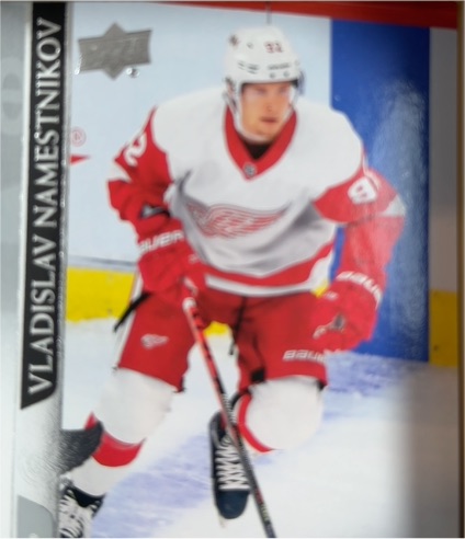 2020-21 Upper Deck #546 Vladislav Namestnikov — front