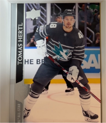 2020-21 Upper Deck #679 Tomas Hertl — front