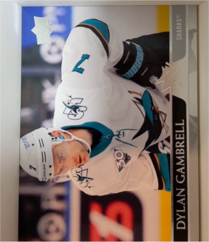 2020-21 Upper Deck Extended Series #615 Dylan Gambrell — front