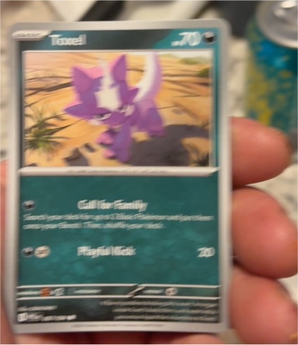 2023 Pokémon 067 Toxel — front