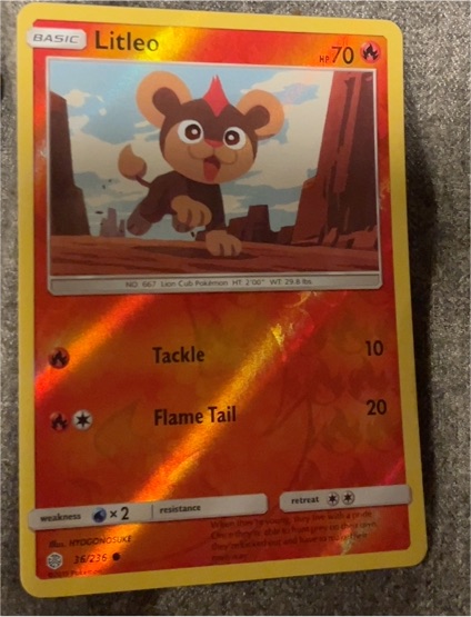 2019 Pokémon Sun & Moon Cosmic Eclipse #36 Litleo — front
