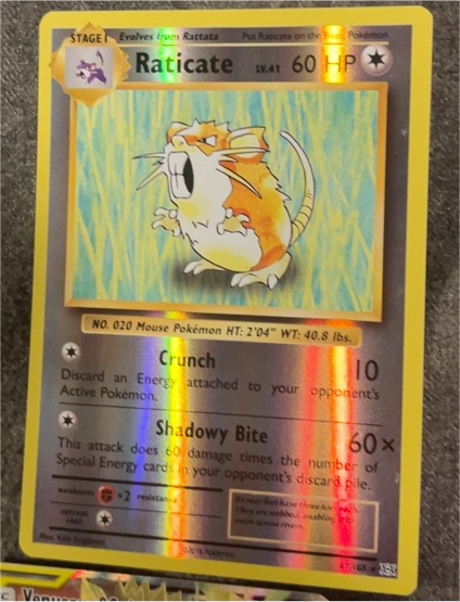 2016 Pokémon XY Evolutions #67 Raticate — front