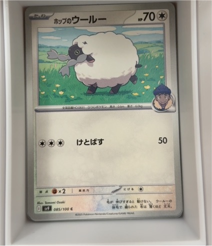 2025 Pokémon #085 Hop's Wooloo — front