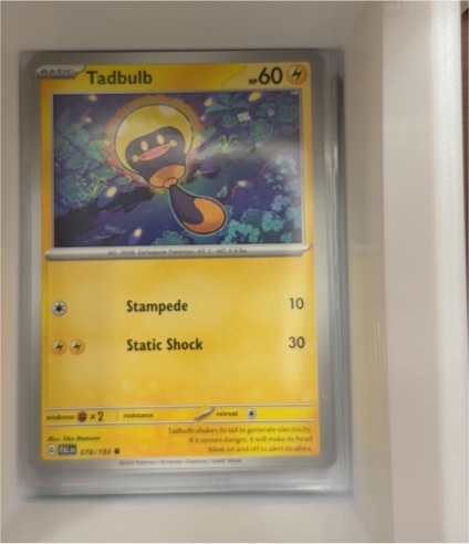 2023 Pokémon Paldea Evolved #078 Tadbulb — front