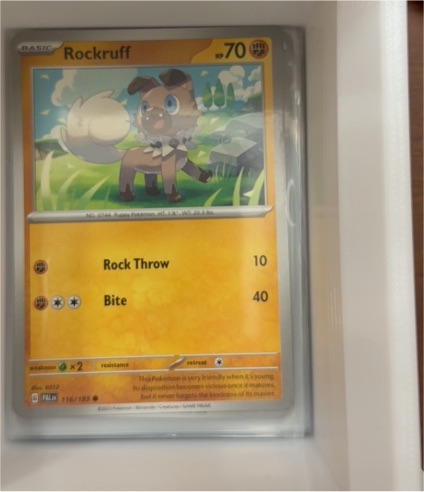 2023 Pokémon SV02: Paldea Evolved #116 Rockruff — front