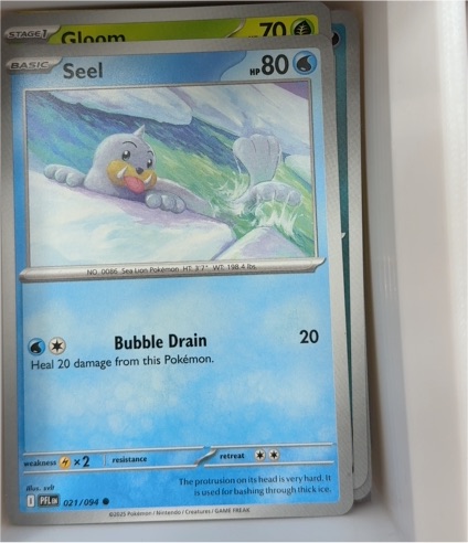 2023 Pokémon ME02: Phantasmal Flames #021 Seel — front