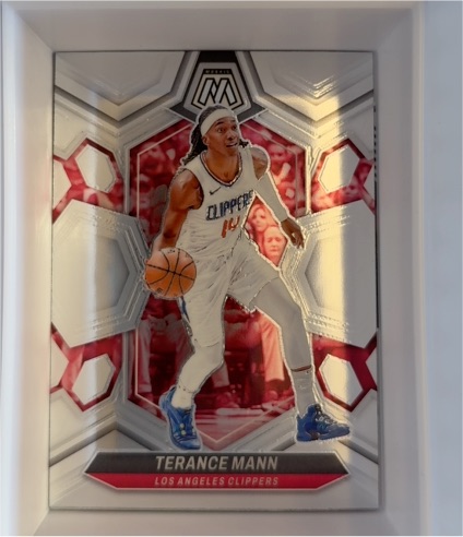 2023-24 Panini Mosaic #14 Terance Mann — front