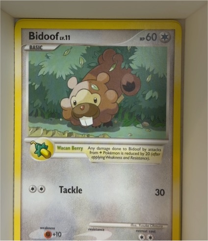 2007 Pokemon Mysterious Treasures #73 Bidoof — front