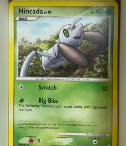 2008 Pokémon Legends Awakened #108 Nincada — front