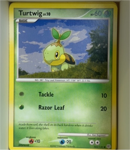 2007 Pokémon Diamond & Pearl #103 Turtwig — front