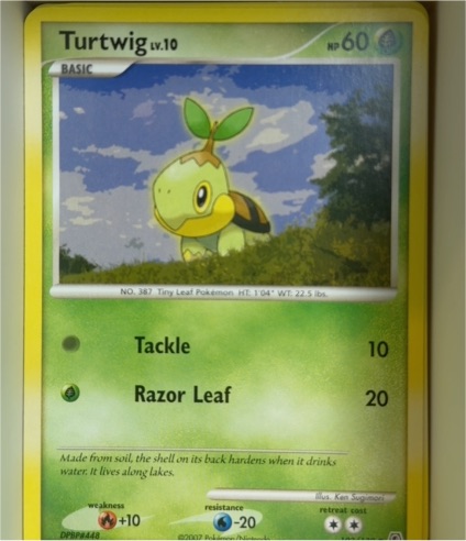 2007 Pokémon Diamond & Pearl #103 Turtwig — front