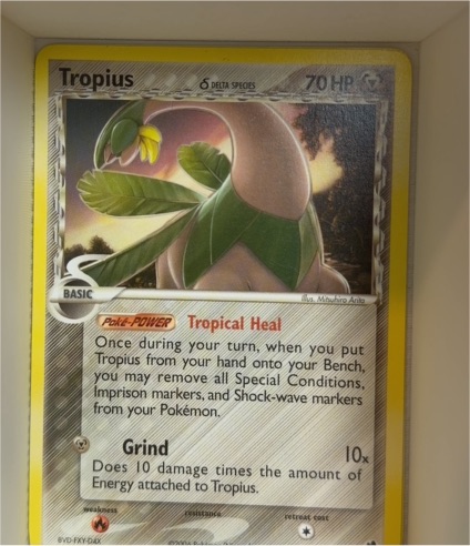 2006 Pokemon EX Dragon Frontiers #23 Tropius Delta Species — front