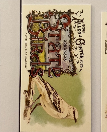 2025 Topps Allen & Ginter #SB-4 Northern Mockingbird Arkansas — front