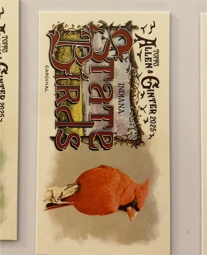 2025 Topps Allen & Ginter #SB-33 Cardinal Mini State Birds — front