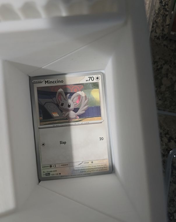 2025 Pokémon TCG Journey Together #125 Minccino — front