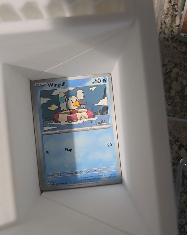 2025 Pokémon Journey Together #038 Wingull — front